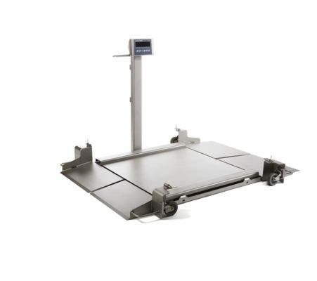 2888P-SS Escala de piso - Capacidade de 0,5K - 24x24 plataforma industrial com cabo de 1 pé
